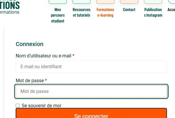 Champs identifiant et mot de passe du formulaire de connexion NBForm