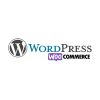 wordpress2